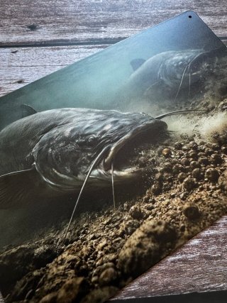 CARTEL PLACA METALICA PESCA SILUROS BAJO EL AGUA