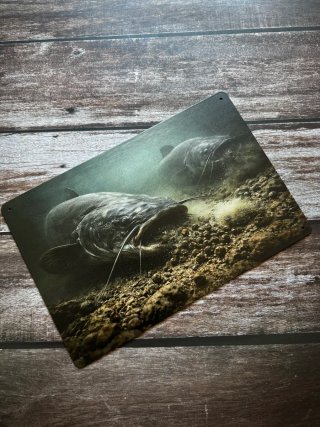 CARTEL PLACA METALICA PESCA SILUROS BAJO EL AGUA