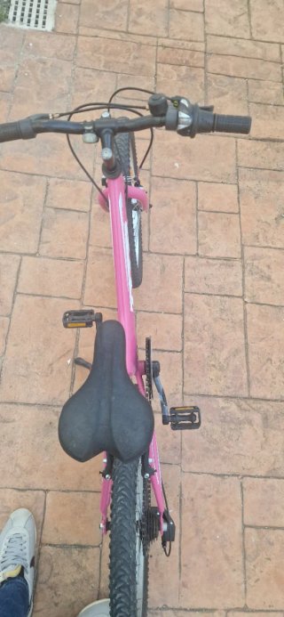 Bicicleta niña DTB 20