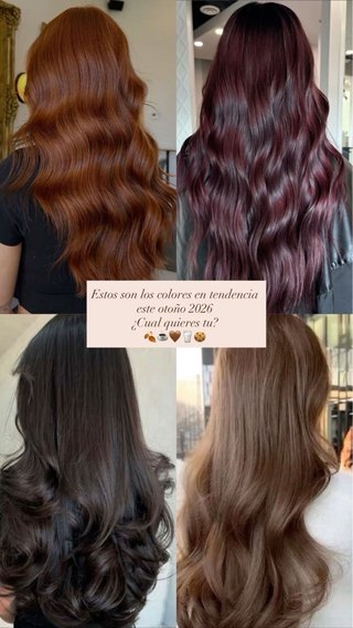 Peluquera a domicilio en madrid