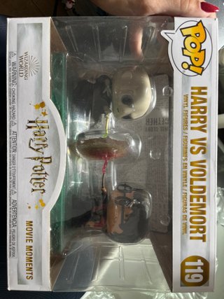 Funko Pop Harry vs Voldemort 119