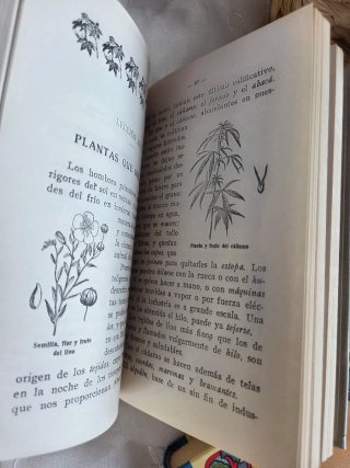 Lote di Libri Scolastici Antichi