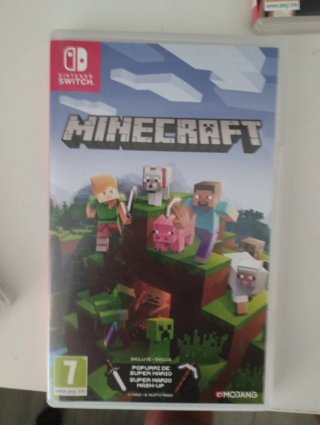 Minecraft Nintendo Switch