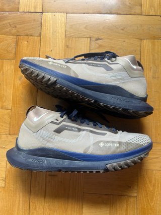 Nike Pegasus Trail 4 Gore-Tex Talla 41