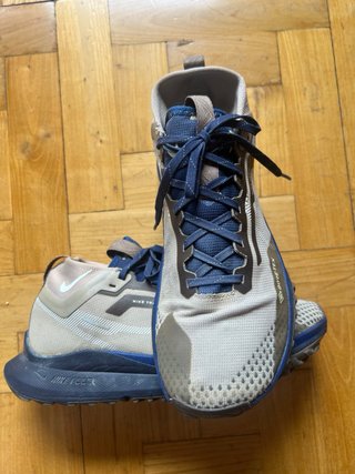 Nike Pegasus Trail 4 Gore-Tex Talla 41