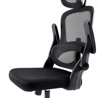 Silla Oficina Ergonómica Sihoo M102C Soporte Lumba