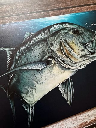 PLACA CARTEL PESCA CARANX JUREL GT SEÑUELO RAPALA