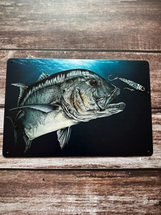 PLACA CARTEL PESCA CARANX JUREL GT SEÑUELO RAPALA