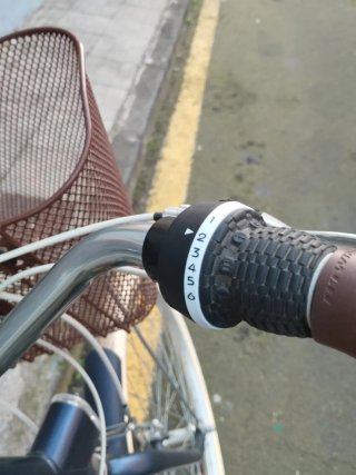 Bicicleta de paseo azul