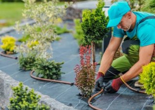 Reparación de jardinesإ