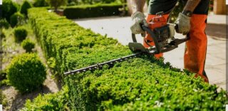 Reparación de jardinesإ
