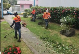 Reparación de jardinesإ