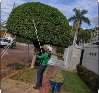 Reparación de jardinesإ