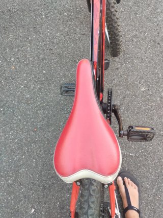 Bicicleta niño WRC Invader Conor 20