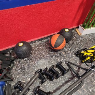 Mancuernas, Barra Dominadas, balones, TRX