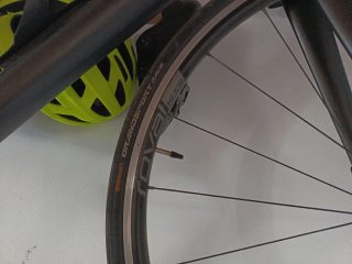 Specialized Tarmac Carbono Bicicleta