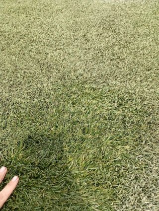 Césped artificial verde