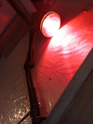 Lampara infrarroja de masajes