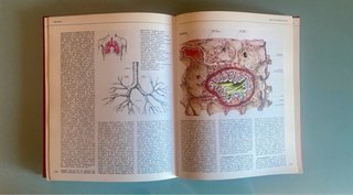 Enciclopedia vintage Dizionario della Medicina