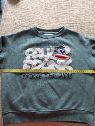 Sudadera Zara Paul Frank
