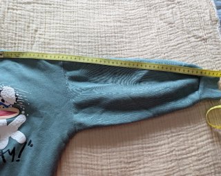 Sudadera Zara Paul Frank