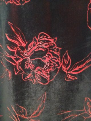 Vestido Terciopelo Rosas Roberto Verino