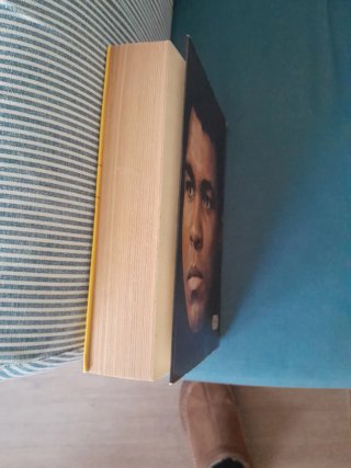 Libro boxeo