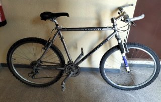 Bicicleta Canyon Boomerang 20x26