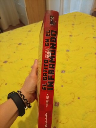 El gatito que se perdió en el inframundo. Libro