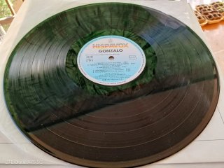 Vinilo Gonzalo - 1983
