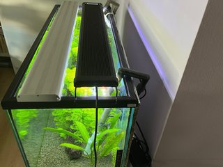 Acuario 90L Completo + Filtro Tetra