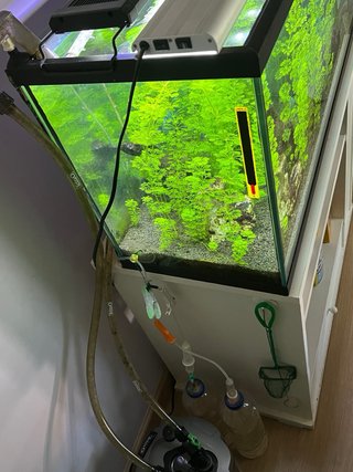 Acuario 90L Completo + Filtro Tetra