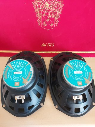 Coppia Altoparlanti JBL Ovali