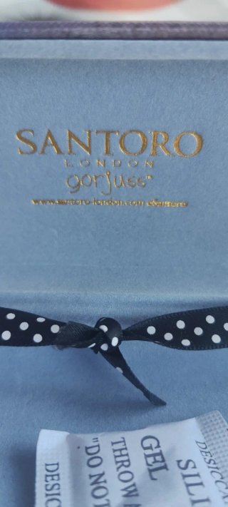 Funda gafas/ estuche Gorjuss Santoro Bubble Fairy