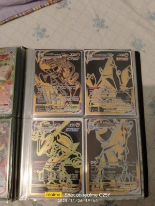 Album carte Pokemon