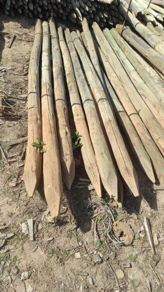 Postes de madera 3 metros