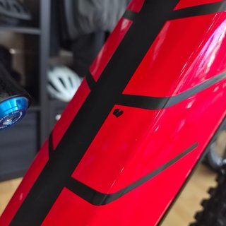 Bici Rotwild RE-750. Garantía fabricante.