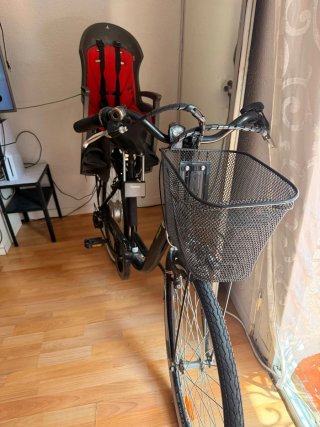 Bicicleta Eléctrica con Silla Infantil