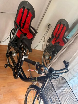 Bicicleta Eléctrica con Silla Infantil