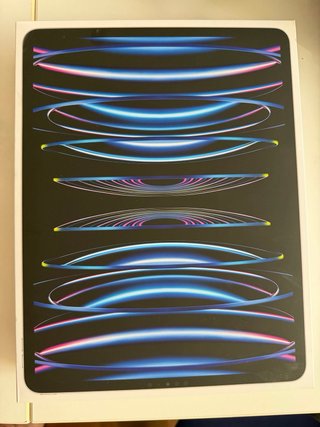 iPad Pro 12.9 1ª Gen Wifi 128GB  No funciona bien
