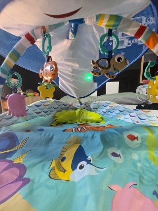 Panque infantil bebé Nemo y Dory