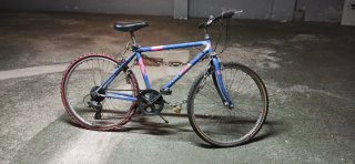 Bicicleta azul