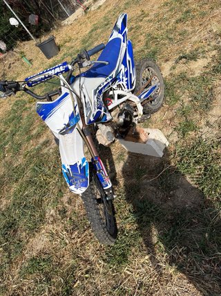Pit Bike 125cc Motocross Azul/Blanco