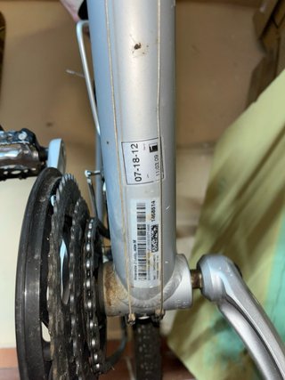 Bicicleta Trekking Mujer Plata