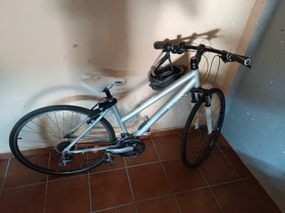 Bicicleta Trekking Mujer Plata