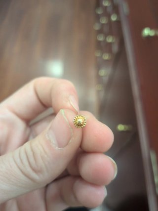 Pendientes Coral y Oro 4 Garras Medianos