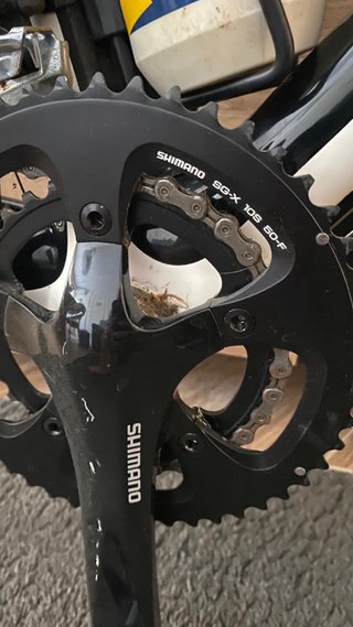 Bicicleta de carretera Specialized SL2