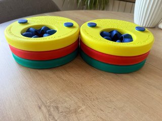 MANGUITOS EVOLUTIVOS - Delphin Swim Discs natación