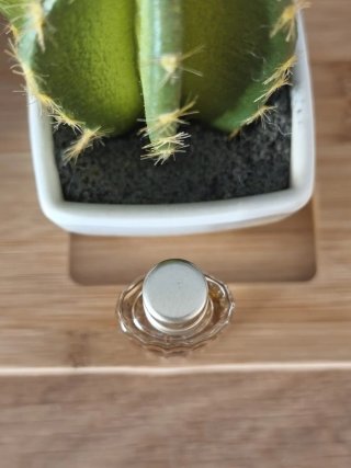 Miniatura Eau de Gucci EDT 5 ml Vintage