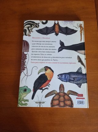 Animalium visita nuestro museo